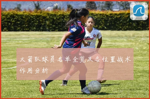 火箭队球员名单全览及各位置战术作用分析