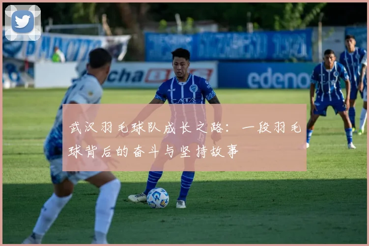 武汉羽毛球队成长之路：一段羽毛球背后的奋斗与坚持故事